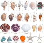 JQAQJU 23 Pcs Large Seashells Mixed Beach Sea Shells Starfish Conch, Various Size Natural Seashells for Decorating, Beach Themed Party, Table Scatters, DIY, Fish Tank, Vase Fillers, Home, Wedding