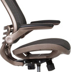 EMMA + OLIVER Mid-Back Transparent Black Mesh Drafting Chair with Gold Frame and Flip-Up Arms