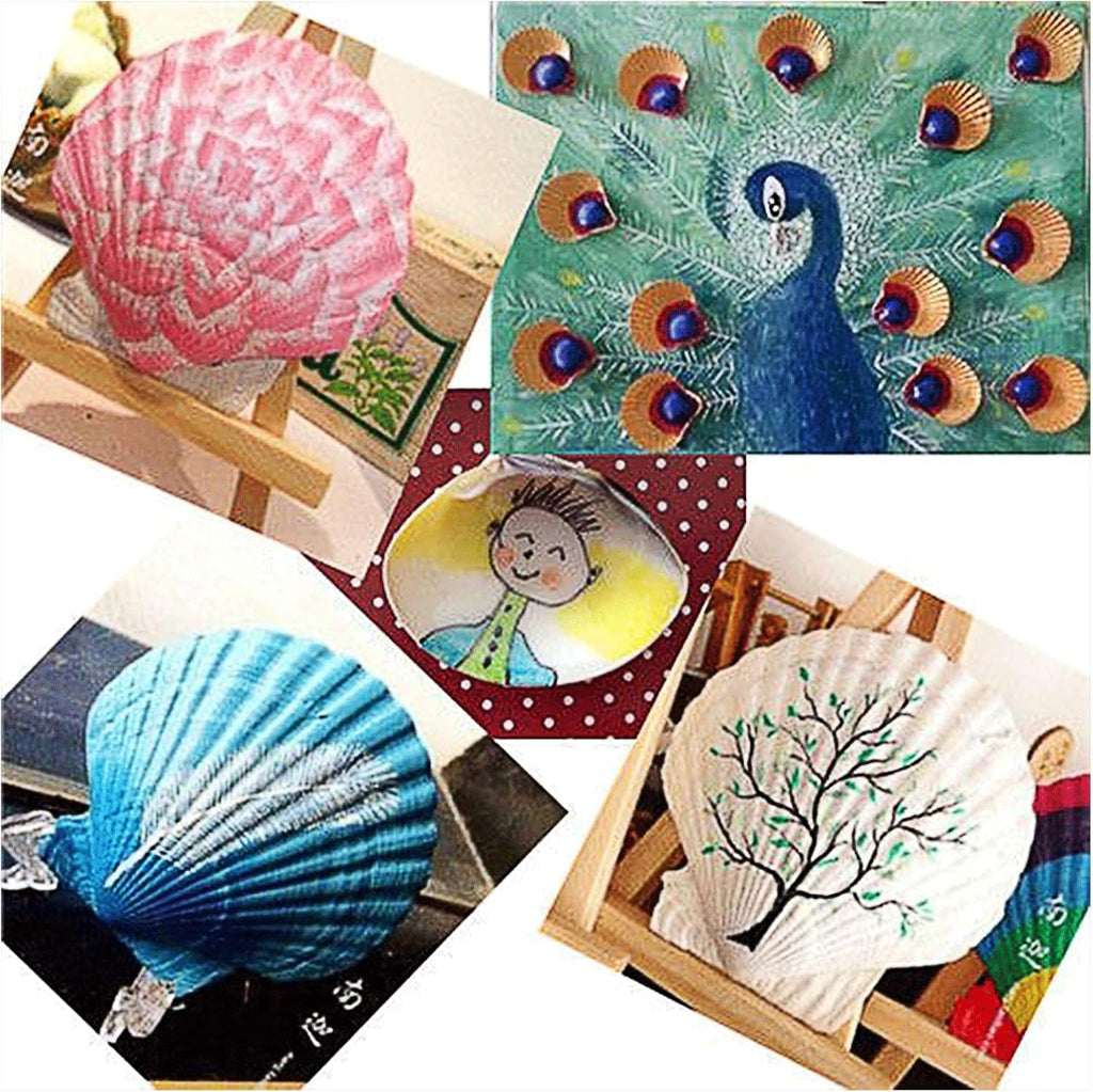 QEQEKAKA 10PCS Large Scallop Shells for Crafts 4''-5'' White Sea Shells for Baking Shells, Crafts DIY Painting Beaching Wedding Decoration, Beach Natural Scallop Shells Bulk