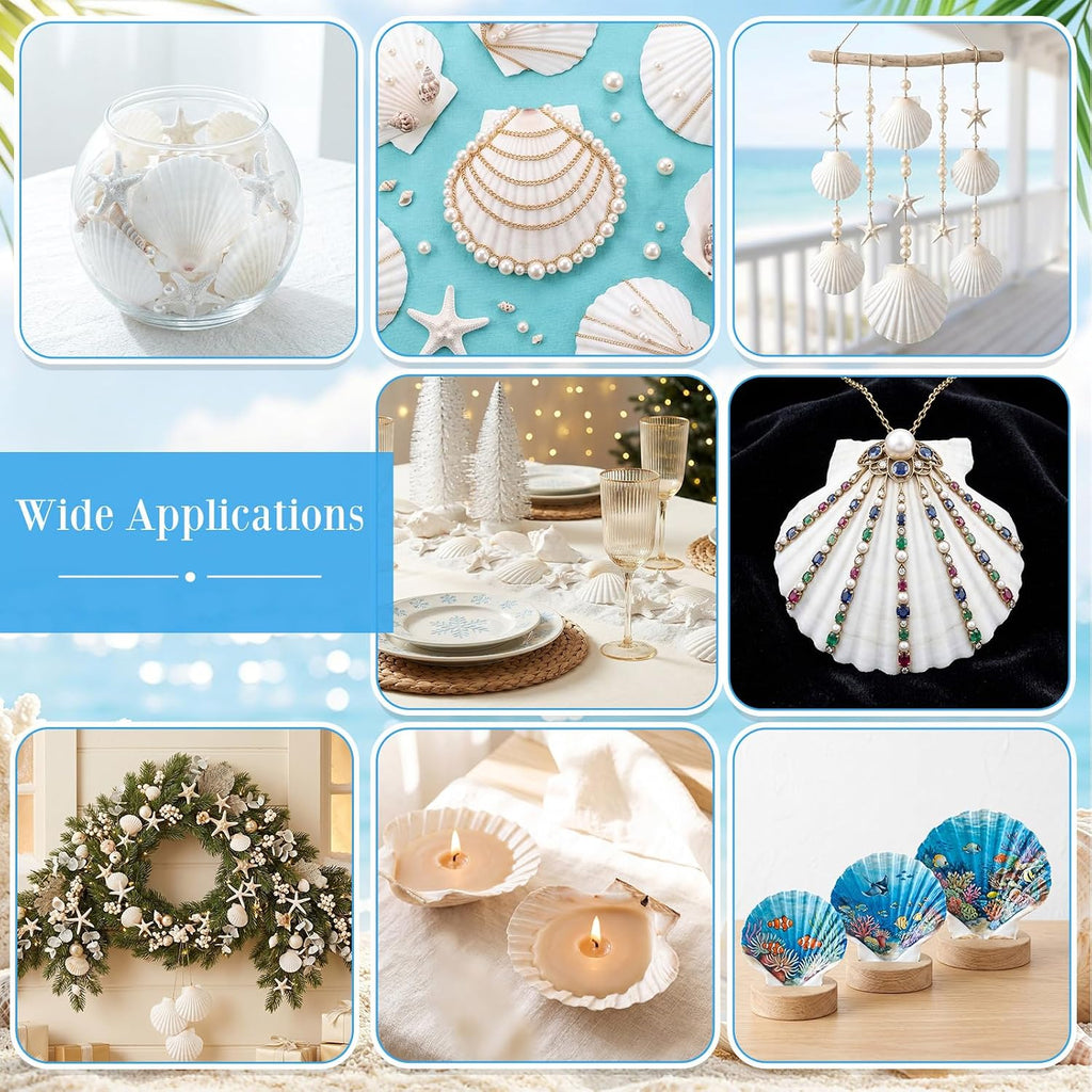 Junkin 40 Pack Natural Scallop Shells and Artificial Starfish for Crafts Sea Shells Decoration 20 Pcs 2.8"-4.3" Seashells & 20 Pcs 2.1" Starfish for DIY Painting Home Wedding Decor(Solid,White)