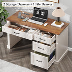 Halitaa Farmhouse 47" Executive Desk, Computer Desk with Drawers and File Drawer, Workstation Computer Desk with Charging Station for Home Office,Study.Unique White