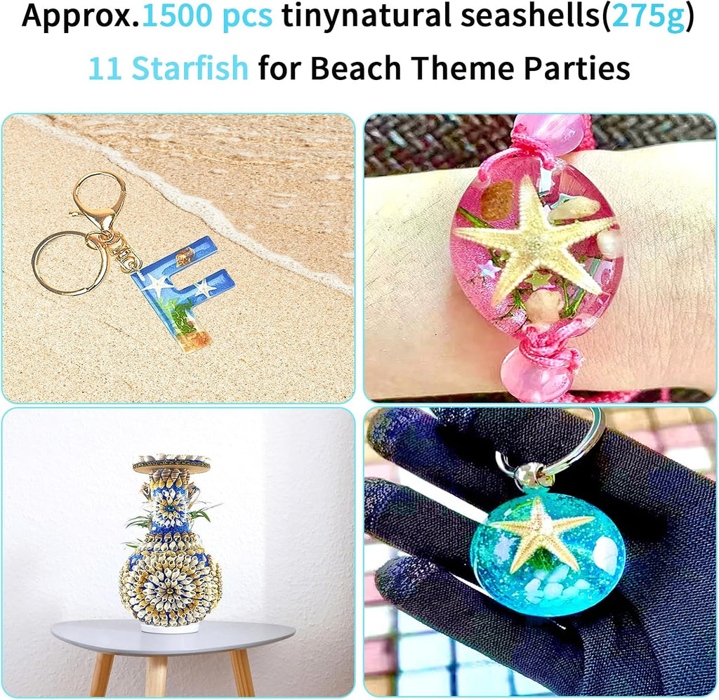1500 PCS sea Shells Small Natural Starfish Mixed Beach Snail Seashells are Suitable for Beach Theme Parties,Home Decoration, Various DIY Crafts,Candle Making,Shells,Fish Tank and vase fillers