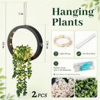Der Rose 2 Pack Lighted Hanging Plants, Artificial String of Pearls Succulents with Warm LED Lights, Aesthetic Fake Plants for Black Bathroom Bedroom Living Room Wall Decor, Party & Gift for Women