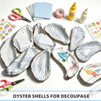 20Pcs Extra Large Flat Oyster Shells 5-6 Inch Natural Oyster Shells for Crafts, Home Vase Filler, DIY Arts and Crafts, Christmas Ornaments, Coastal Decor, Decoupage, Painting, Seashells Bulk