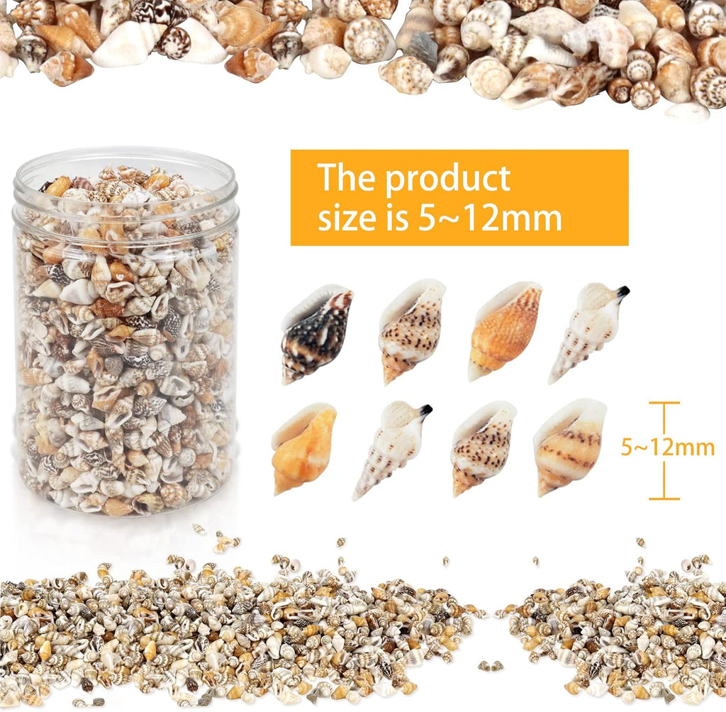 2000 Pcs Tiny Sea Shells for Crafting,Mixed Ocean Beach Mini Seashells Bulk for Home Decorations,Beach Theme Party, Small Shells for Craft, Wedding Decor, Fish Tank Vase Filler(5-12 mm)