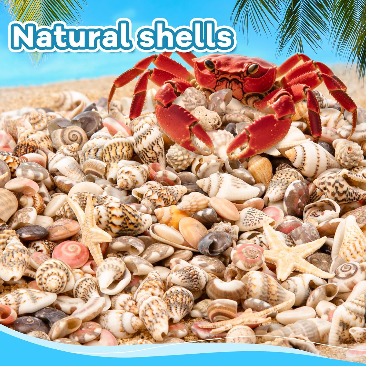 1200 PCS Tiny Seashells & 21 Starfish Mixed 18 Kinds Bulk Beach Small Shells for Home Decor, Beach Theme Party Decor, Fish Tank Aquarium, Sea Shells for Crafting Vase Filler, Beach Candle