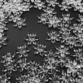PMLAND Winter Acrylic Clear Snowflake Ornaments and Table Scatter Decoration - 290+ Pieces for Christmas Holiday Party Festival Events Home Decor