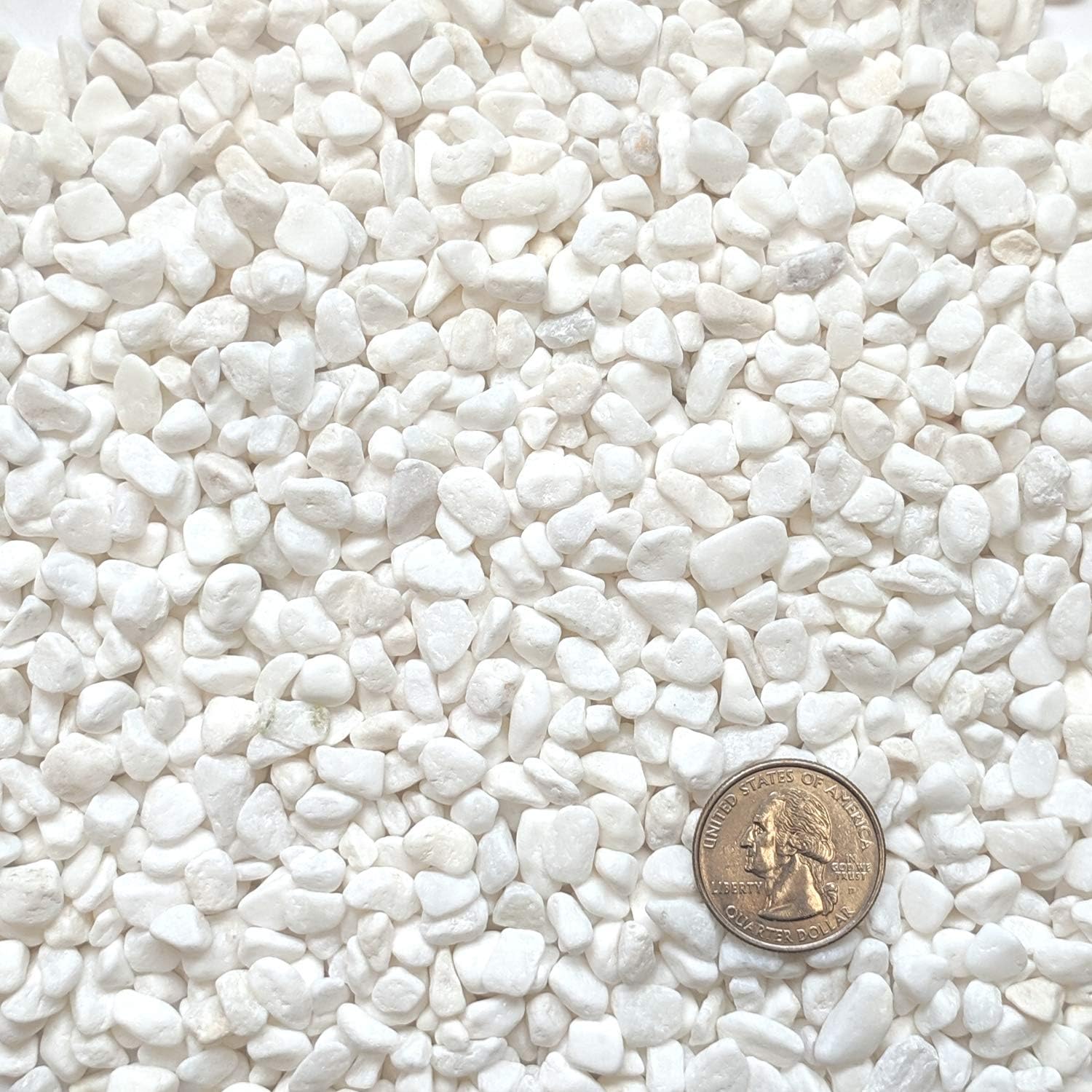Midwest Hearth Decorative White Bean Pebbles 1/5" Size (10-lb Bag)