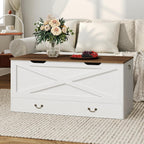 RALGEND Toy Chest, 39.4" Storage Chest with Drawer and Pull Handles, Wooden Storage Bench with Lift Top, Storage Trunk for Living Room, Bedroom, Entrance, White and Walnut