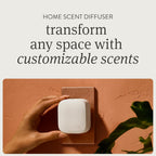 Drift Home Scent Diffuser Refills in Teak (2 Refills) - Adjustable and Long Lasting Diffuser Aroma - Clean Ingredients, Pet Safe