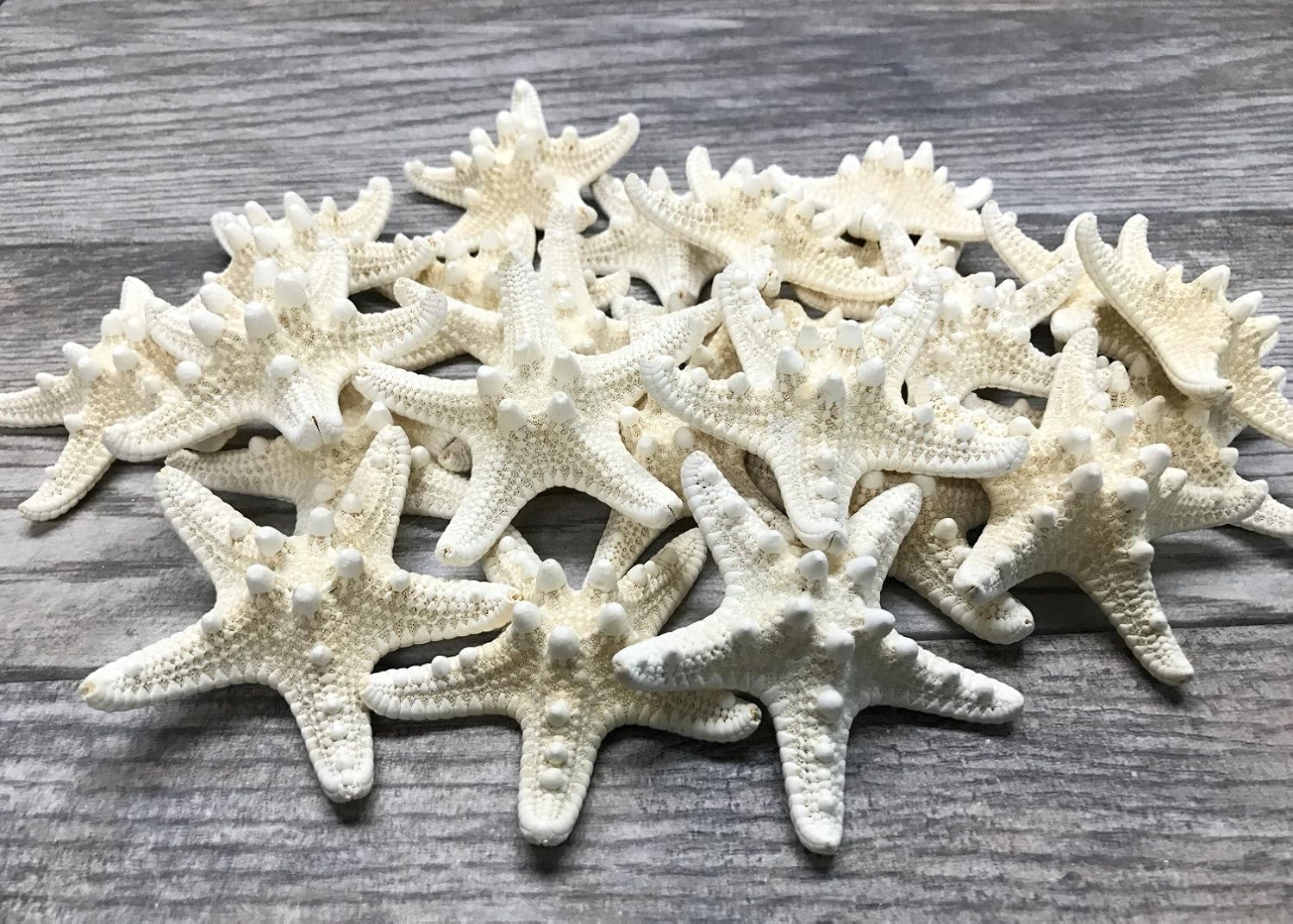 Real Knobby Starfish | 24 Real Knobby Starfish White 2" to 3.5" Beach Wedding Decor, Coastal Party Decorations, Seashell Decor