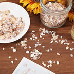 1000g/2.2BL Natural Crushed Shells Chips, 3-9mm Irregular Seashell Fragments, Sea Shell Pieces for DIY Crafts, Vase Filler, Home Décor, Art Projects, Beige Mosaic Decoration