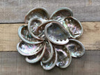 | Natural Red Abalone | 3" - 4" | Set of 10
