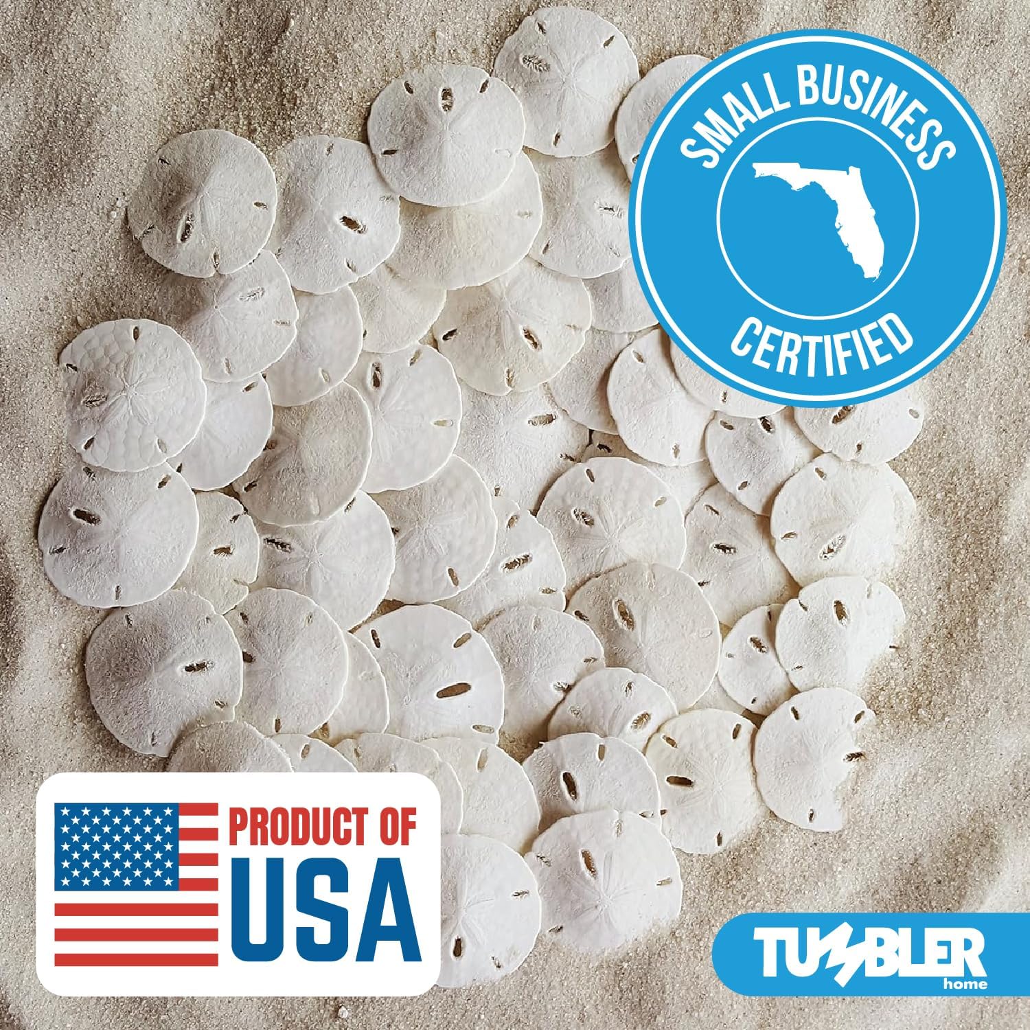 Tumbler Home Real Sand Dollars 1.25" - 1.5" Inch (30 Pack), Natural White Sand Dollars for Crafts, Bulk Florida Sanddollar Shells for DIY Crafts, Beach Wedding Décor, Nautical and Coastal Room Decor