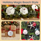 Real Sand Dollars 3" to 3.5" (3 Pack) – Sand Dollar Wall Art & Ornament Set – Beach Wedding Decor – Nautical Party Table Decor – Mini Shells for Crafts – Coastal Gifts