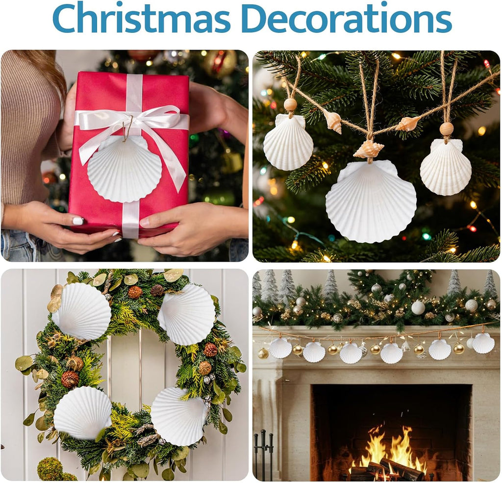 SINKOO 25 PCS Small Scallop Shells 2"-3" White Natural Seashell for DIY Craft Mermaid Beach Wedding Home Decoration