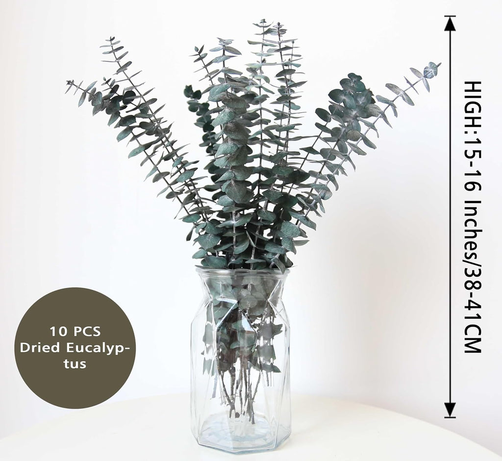 10 PCS Dried Eucalyptus Stems for Shower 15-16" Real Leaves Branches for Vase Filler, Home Bathroom Wedding Arrangement Decor, 100% Natural Fresh Greenery Hanging Preserved Eucalyptus Plant