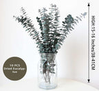 10 PCS Dried Eucalyptus Stems for Shower 15-16" Real Leaves Branches for Vase Filler, Home Bathroom Wedding Arrangement Decor, 100% Natural Fresh Greenery Hanging Preserved Eucalyptus Plant