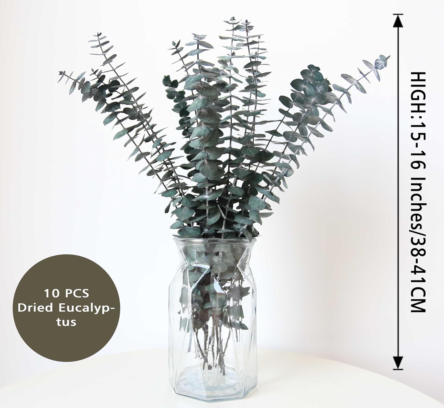 10 PCS Dried Eucalyptus Stems for Shower 15-16" Real Leaves Branches for Vase Filler, Home Bathroom Wedding Arrangement Decor, 100% Natural Fresh Greenery Hanging Preserved Eucalyptus Plant