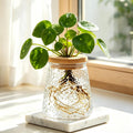 Plants Propagation Stations, Desktop Propagation Vase for Living Room, Bedroom, Wedding, Best Gifts for Plant Lovers, Clear