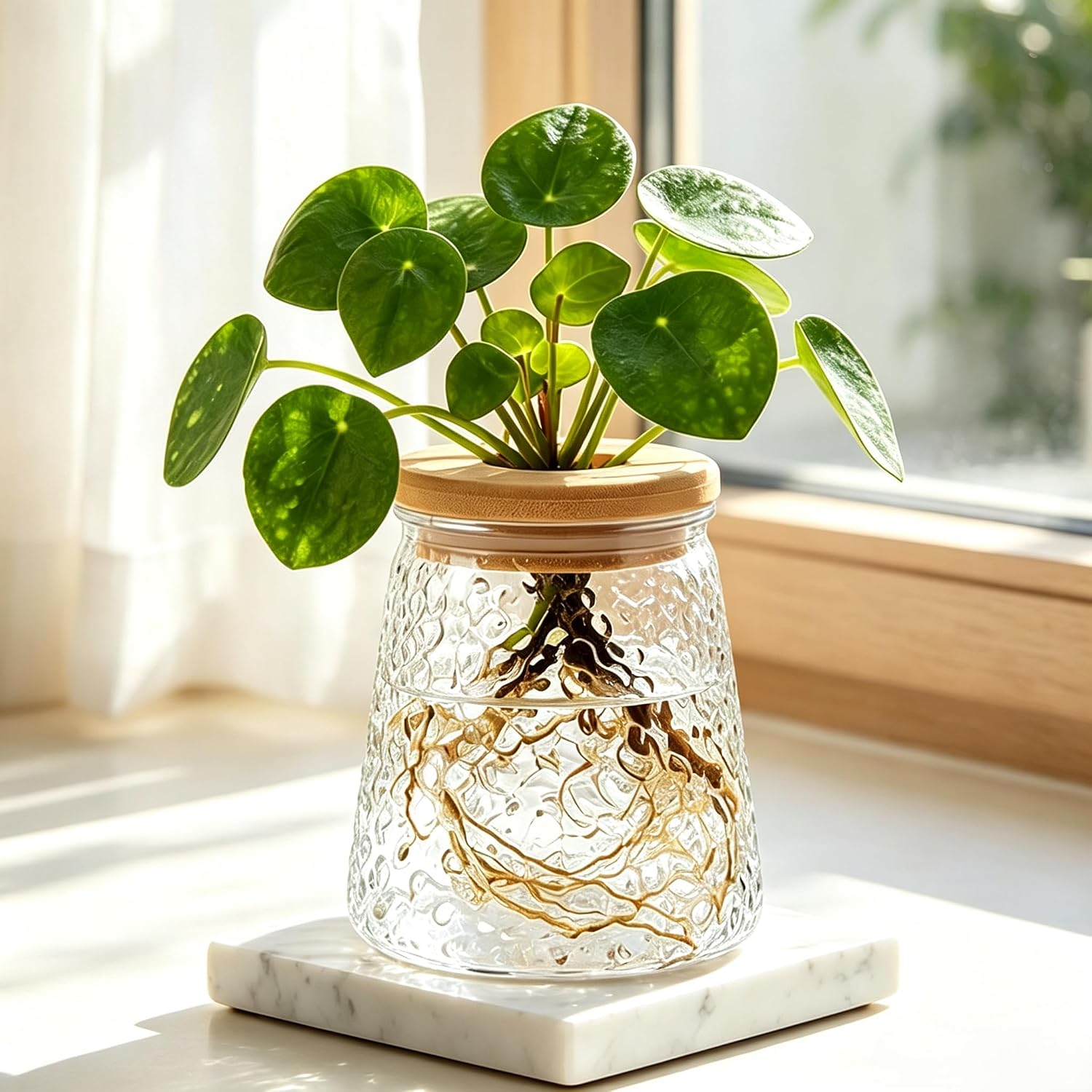 Plants Propagation Stations, Desktop Propagation Vase for Living Room, Bedroom, Wedding, Best Gifts for Plant Lovers, Clear