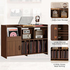 IRONCK Mid-Century Modern Record Player Stand, Record Player Cabinet with Door & Display Shelf, Vinyl Record Storage Cabinet for Living Room & Entertainment Room, Walnut