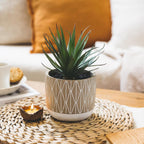 Kurrajong Farmhouse Artificial Plant in Pot - 8" high Small Faux Plant for Desk, Bathroom, Shelf & Coffee Table - Realistic Indoor Plant for Home Decor