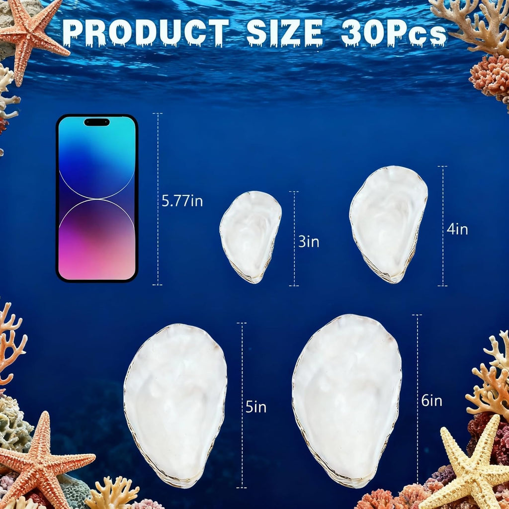 30Pcs 4"-6'' Oyster Shells for Crafts Large Oyster Shells for Crafts Christmas Ornaments Natural Oyster Shell Beach Themes Home Decor Painting Wedding