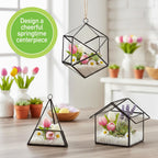 D'Eco Glass Mini Geometric Plant Terrariums 3 Pack - Triangle, House & Prism Planters for Spring Home Decor - Fill with Succulents, Cacti, Air Plants, Moss, Flowers for Plant Lovers
