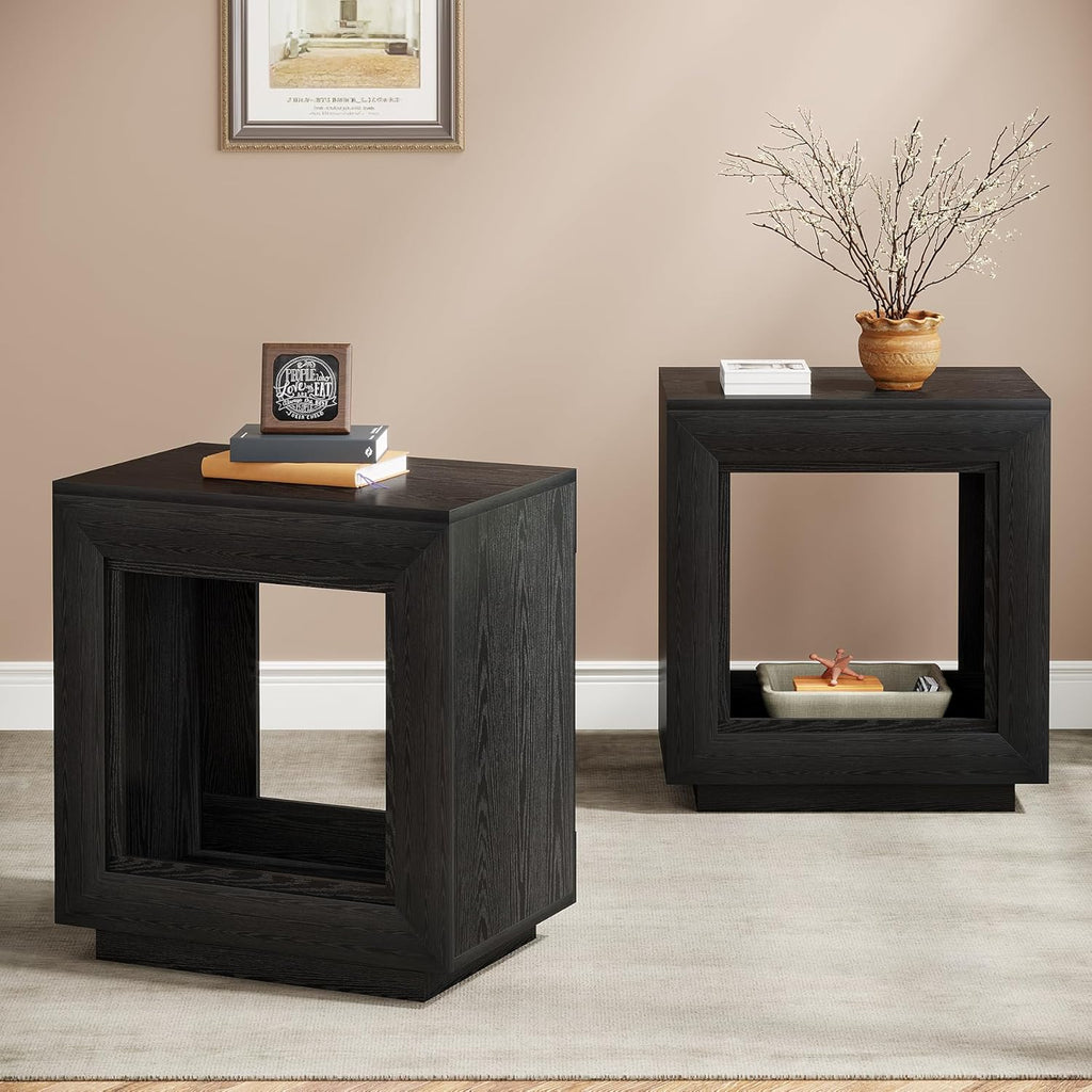 Tribesigns Rustic Wood End Table, 2 Tiered Square Side Table with Storage Shelf, Industrial Sofa Side Table for Living Room, Entrance (2, Black)