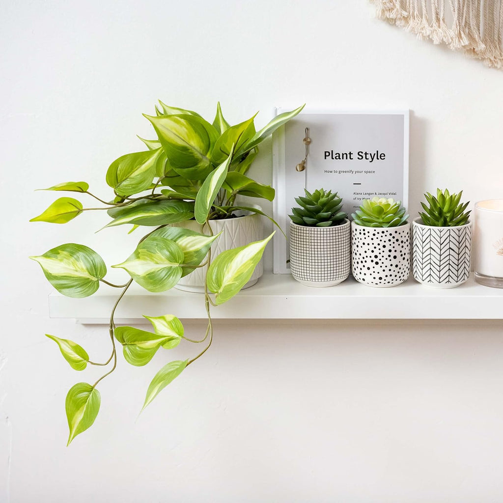 Kurrajong Farmhouse Artificial Succulents in pots | Set of 3 Black and White pots with Faux Succulents | Faux Plants Indoor | Fake Plants for Desk Decor | 4.75" high