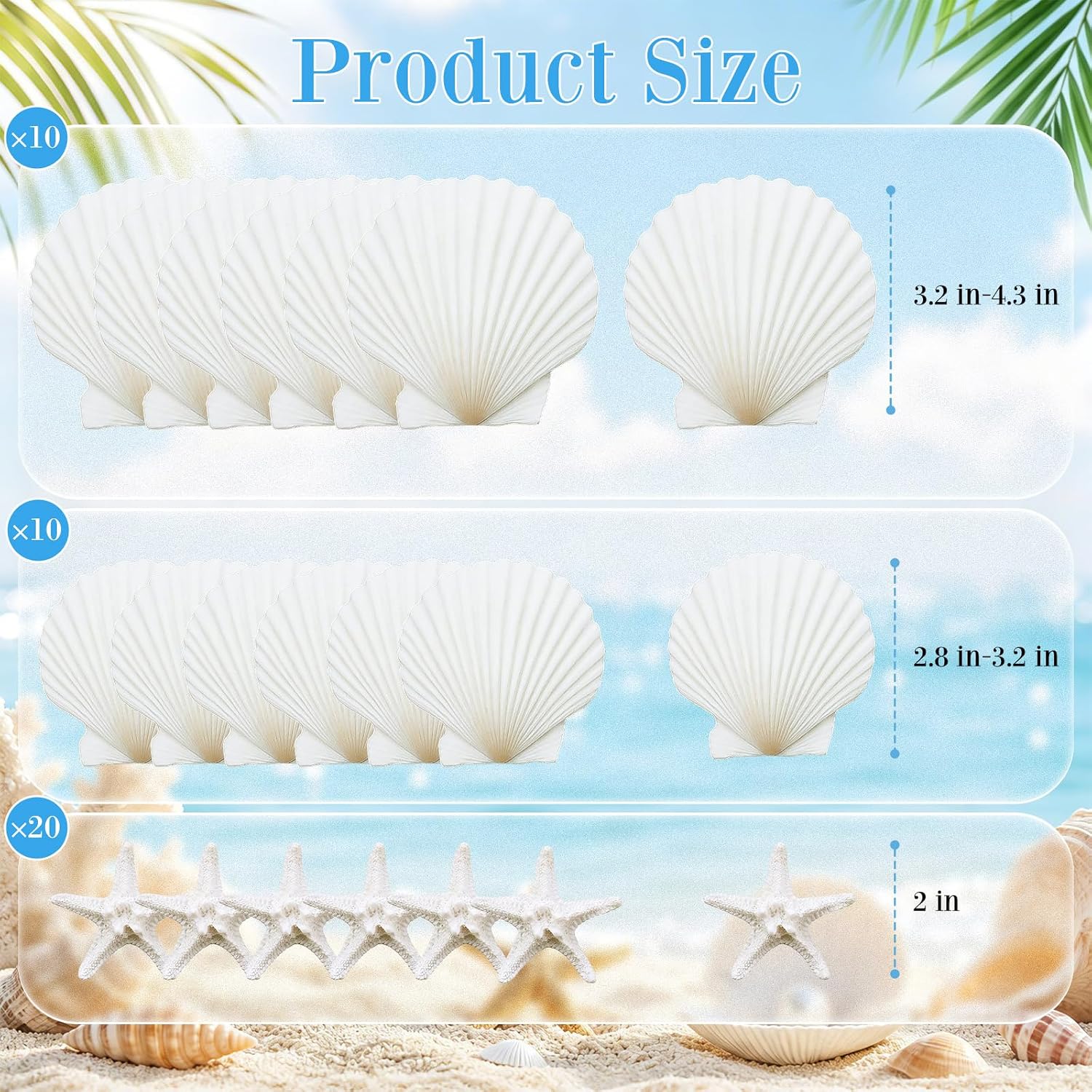 Junkin 40 Pack Natural Scallop Shells and Artificial Starfish for Crafts Sea Shells Decoration 20 Pcs 2.8"-4.3" Seashells & 20 Pcs 2.1" Starfish for DIY Painting Home Wedding Decor(Solid,White)