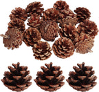 SBYURE 20 Pack 2.4 Inch Pinecones Bulk Package of Natural Pinecones Pine Cones for Crafts Home Decor Vase Filler