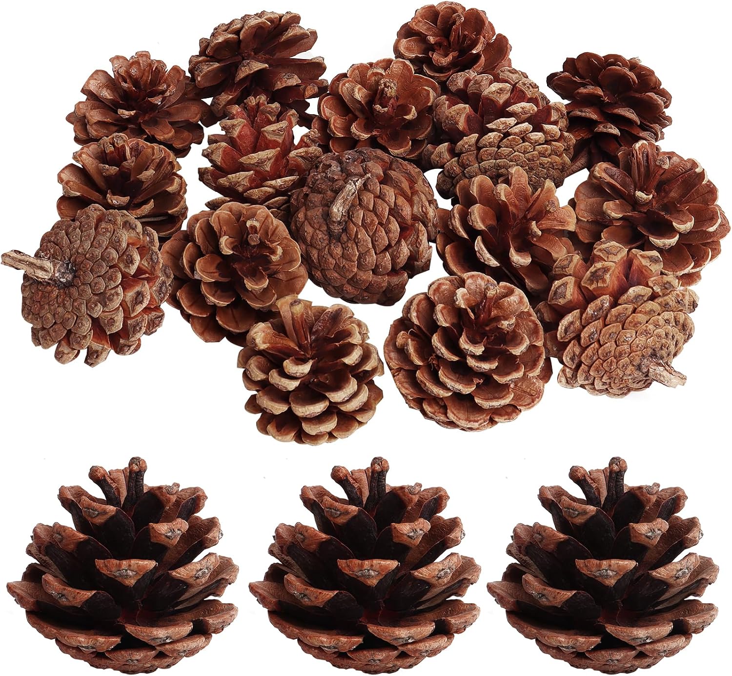 SBYURE 20 Pack 2.4 Inch Pinecones Bulk Package of Natural Pinecones Pine Cones for Crafts Home Decor Vase Filler