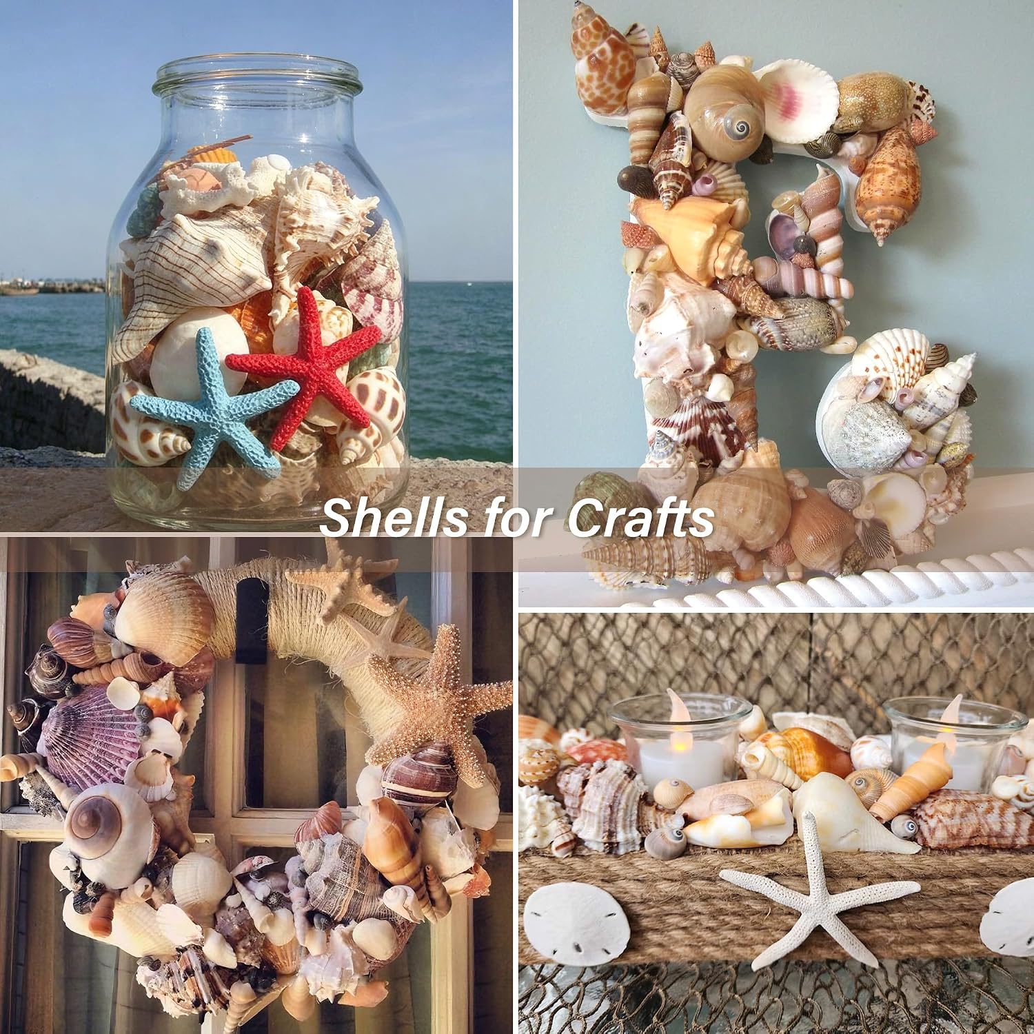 JQAQJU 23 Pcs Large Seashells Mixed Beach Sea Shells Starfish Conch, Various Size Natural Seashells for Decorating, Beach Themed Party, Table Scatters, DIY, Fish Tank, Vase Fillers, Home, Wedding