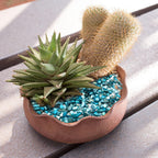 Crushed Shells for Crafts, Sea Shells for DIY Art, Vase Fillers Table Scatter, Party Favor, Wedding Decoration, Succulents Plants Soil Cover, Art Crafts