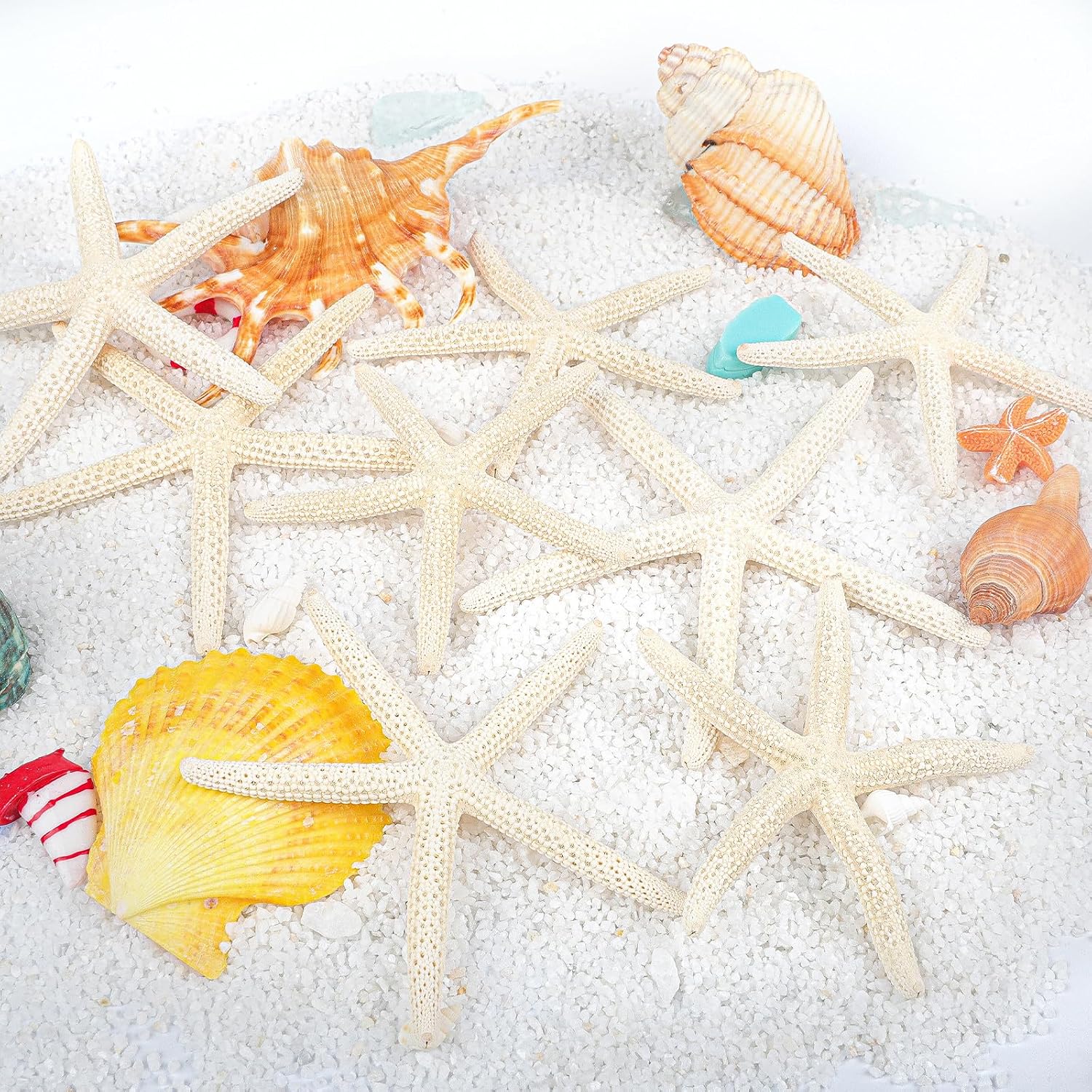 24 PCS Starfish, Mixed Starfish 2" to 3" and 3" to 4" Natural Seashells Starfish White Starfish Ornaments Perfect for Wedding Beach Theme Party Home Decorations, DIY Crafts, Fish Tank