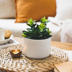 Kurrajong Farmhouse Artificial Plant in Matte White Ceramic Pot | 7.5" Fake Plant for Desk Decor | Artificial Succulent in Pot | Fake Succulent | Faux Plant Indoor | Faux Plant for Shelf Decor