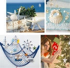 JQAQJU 3-4 Inches Large Starfish and Scallop Shells for Crafts 12PCS, Natural Beach Sea Shells for Crafting, Baking Shells Perfect for White Christmas Decor Beach Party Wedding Fishtank DIY Crafts