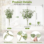 Ivydale Artificial Plants Outdoor 5 Pcs, Faux Greenery Plants Outdoor UV Resistant Silk Plants with Stems, Fake Plants for Outside Planter Front Porch Patio Pathway Decoration(Green)