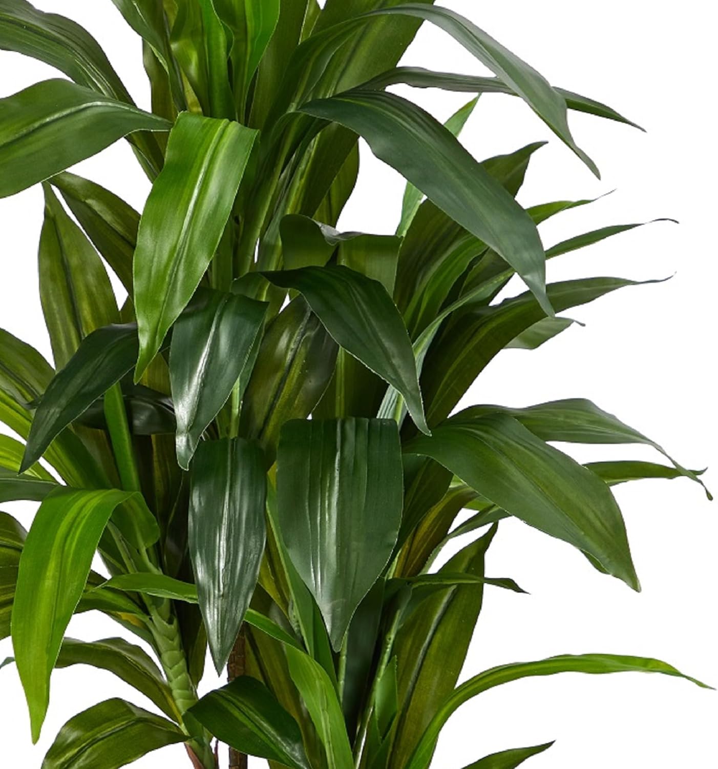 Nearly Natural 48in Artificial Dracaena with Real Touch Leaves and Multi Tonal Trunks, Large Indoor Silk Plant with Pot, Maintenance Free For Living Room And Home Office Decor
