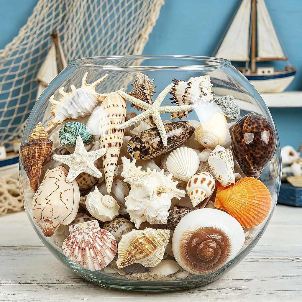 22 PCS Large Seashells Mixed Beach Sea Shells and Ocean Natural Starfish,Natural Colorful Sea Shells Starfish Up to 6.5 Inch, Perfect for Beach Theme Party Home Decor DIY Crafts Fish Tank Decorations