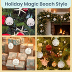 Real Sand Dollars 3" to 3.5" (4 Pack) – Sand Dollar Wall Art & Ornament Set – Beach Wedding Decor – Nautical Party Table Decor – Mini Shells for Crafts – Coastal Gifts