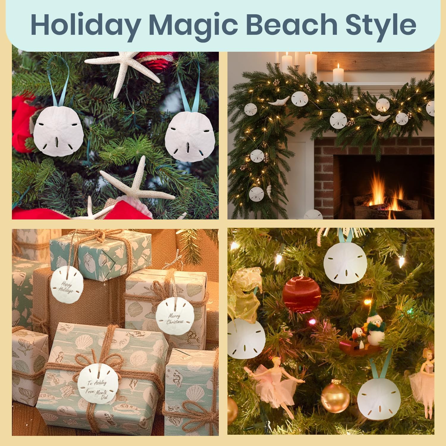 Real Sand Dollars 3" to 3.5" (4 Pack) – Sand Dollar Wall Art & Ornament Set – Beach Wedding Decor – Nautical Party Table Decor – Mini Shells for Crafts – Coastal Gifts