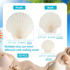 30PCS Natural Scallop Shells, 3 Size White Sea Shells for Crafts, 1.5"/2.3"/3" Real Seashells from Beach for DIY Painting Home Décor Wedding Ocean Beach Theme Party, Fish Tank and Vase Filler