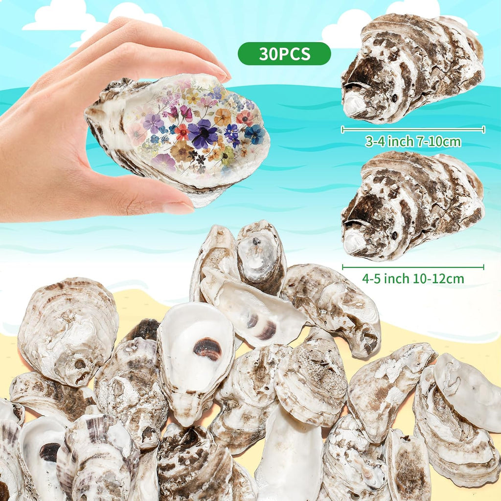 30PCS Oyster Shells for Crafts,Lncluding 25PCS Concave & 5PCS Flat,3"-4" Natural Medium Oyster Shells Bulk,for Home Vase Filler, Xmas Ornaments, DIY Arts and Crafts Sea Shells,Gift 50 Stickers