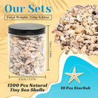 1200 Pieces Tiny Sea Shells Small Natural Starfish Mixed Ocean Beach Spiral Seashells for Home Decorations,Wedding Decor,Candle Making,Beach Theme Party,DIY Crafts and Vase Filler