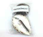 PEPPERLONELY 2PC Polished Tiger Cowrie Sea Shells, 3 Inch ~ 4 Inch