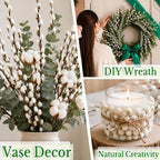 25 Stems Natural Dried Pussywillow Branches for Vases Decor, 15''-17'' Real Preserved Pussywillows with White Snow Willow Branches for Home Decor Wedding Party DIY Floral, Fireplace &Yard Decor
