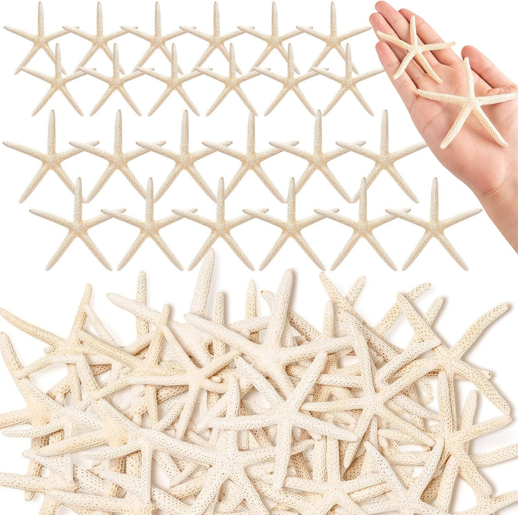 24 Pcs Starfish for Crafts, 2'' to 4'' Star Fish Shells Decorations, Natural Starfish Decor Bulk for Beach Theme DIY Crafts Christmas Tree Ornaments